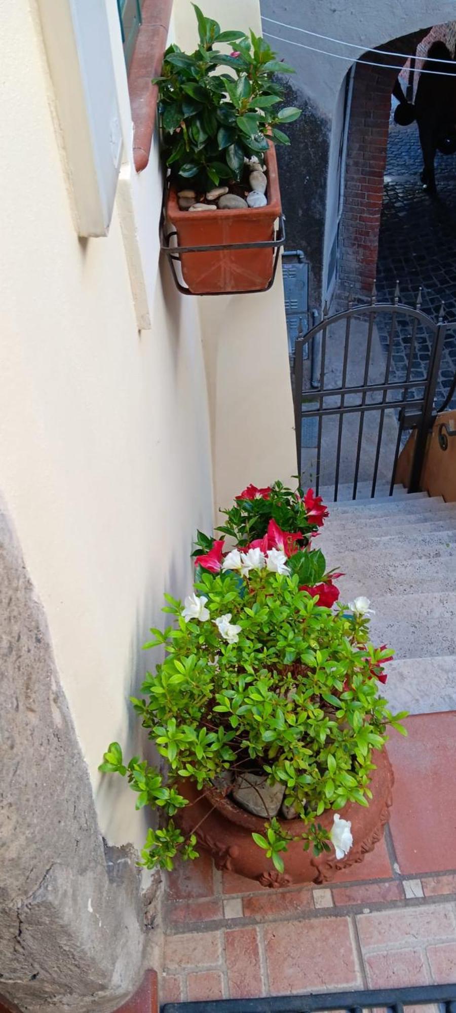 Borgo Boutique Home Near Rome Nettuno